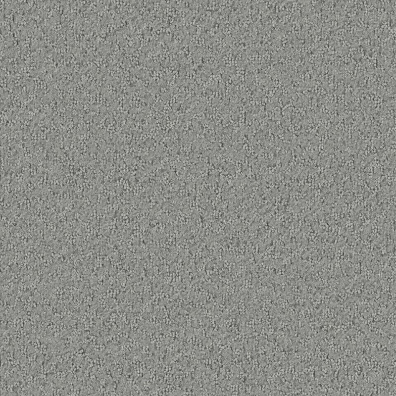 Tarkett Home Promenade Nickel Carpet