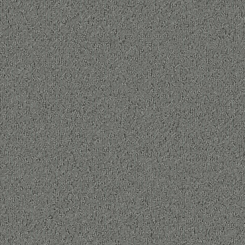 Tarkett Home Promenade Slate Carpet
