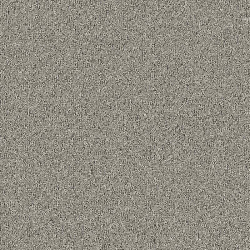 Tarkett Home Promenade Weathered Carpet