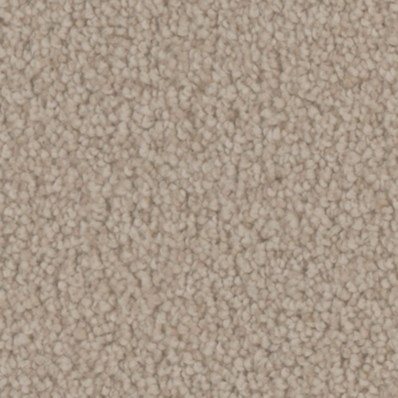 Tarkett Home Providence Borough Carpet