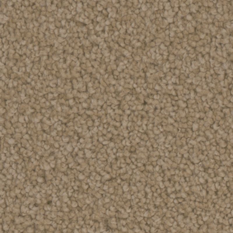 Tarkett Home Providence Gallery Carpet