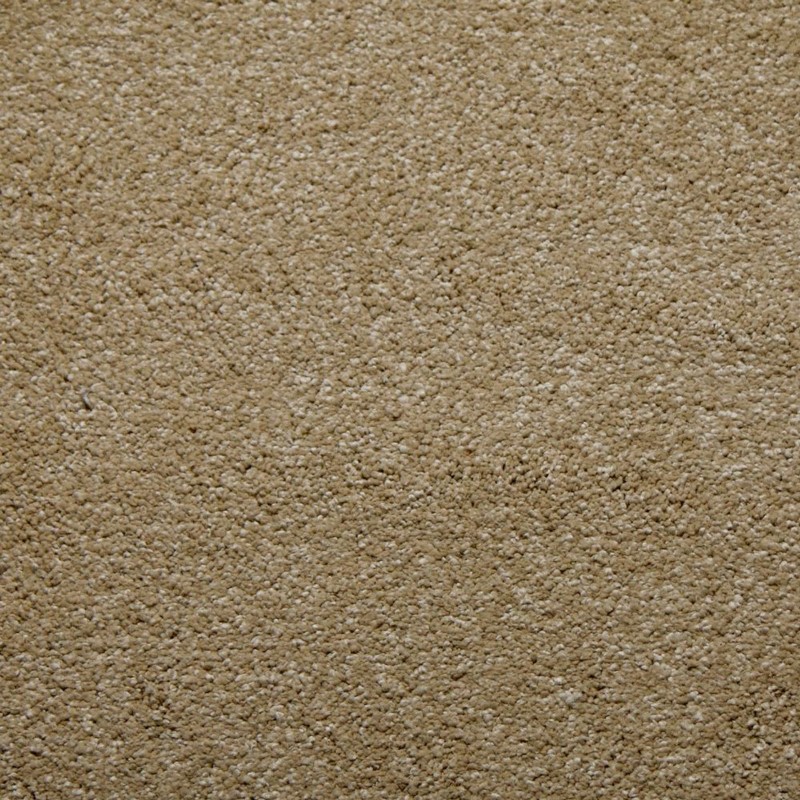 Tarkett Home Soft Spoken Camel Carpet