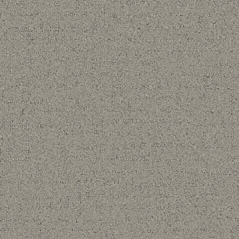 Tarkett Home Talk of the Town Weathered Carpet