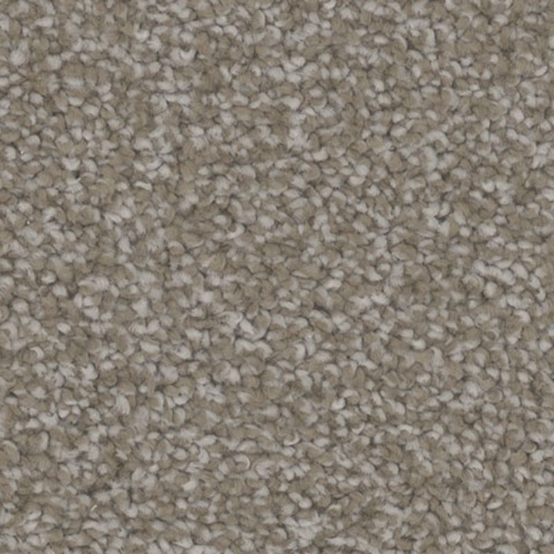 Tarkett Home TH913 Engage Carpet