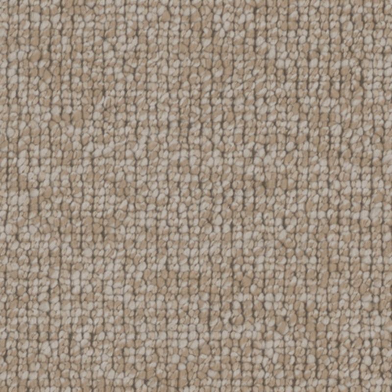 Tarkett Home TH918 Jovial Carpet