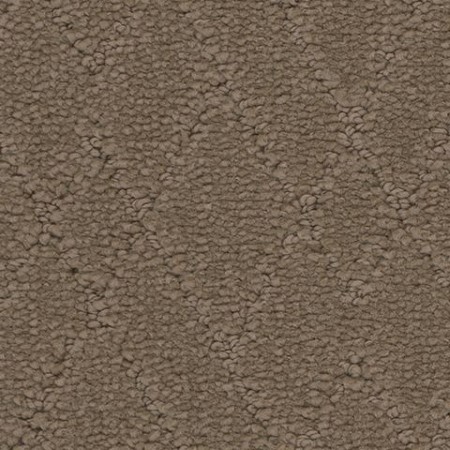 Tarkett Home Windham Summit Carpet