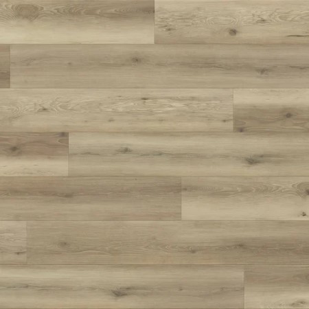 True Touch Flooring Evolv Timber Laminate