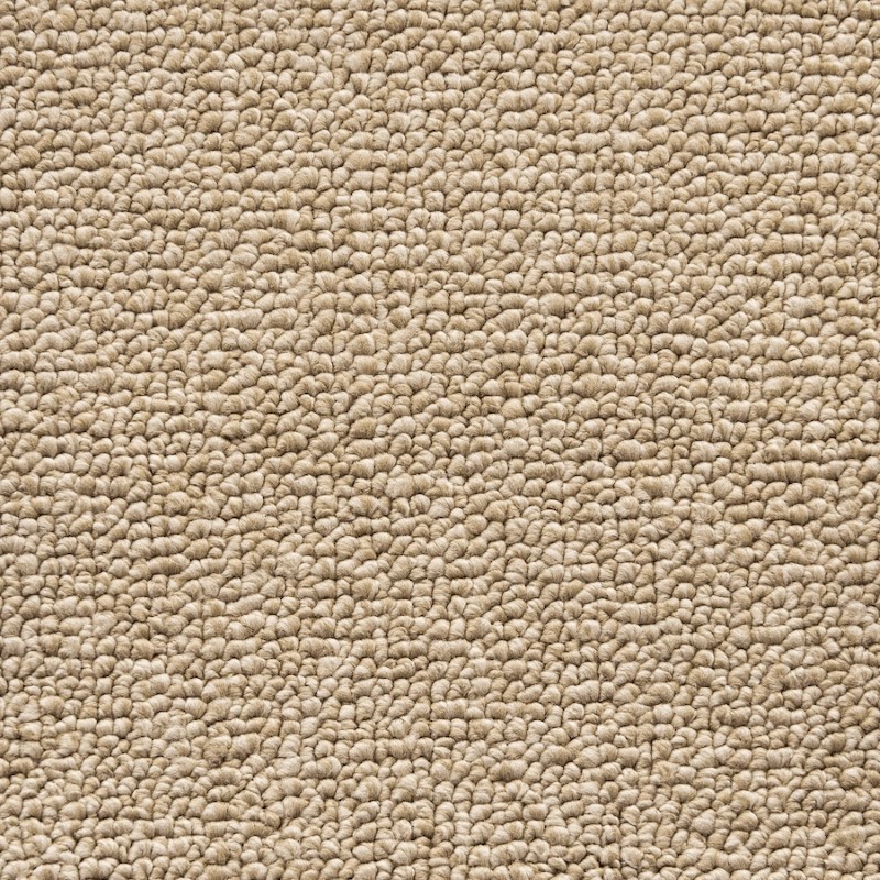 Unique Carpets Tufted Nylon Encore Sandstone Carpet