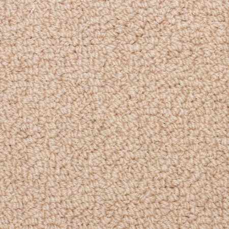 Unique Carpets Tufted Wool Waverly Chamois Carpet