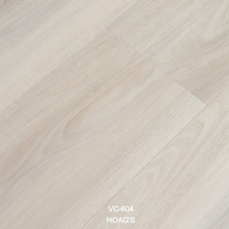 Vellichor Galaxy Hoags Vinyl