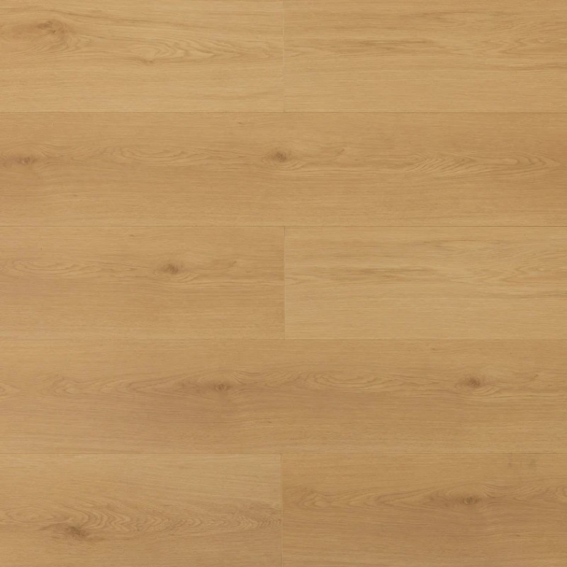 Wilson and Morgan Harmony Series Celano Laminate
