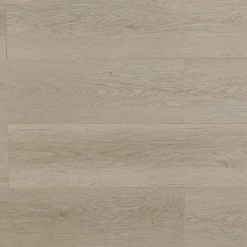 Wilson and Morgan Harmony Series Shore Oak Laminate