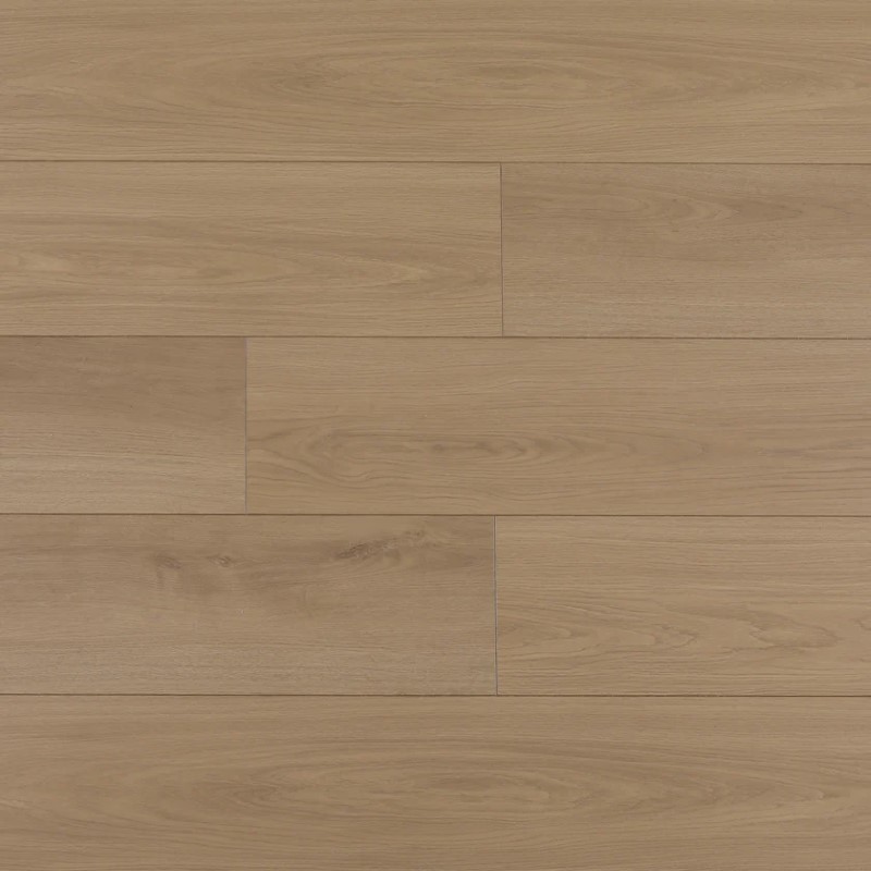 Wilson and Morgan Harmony Series Teslin Laminate